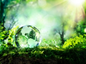 ambiente-sostenibilita-energie-rinnovabili-bioenergie-agroenergie-by-romolo-tavani-fotolia-750
