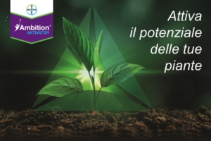 Ambition<sup>®</sup> Aktivator, il fisioattivante che migliora nutrizione e difesa - le news di Fertilgest sui fertilizzanti