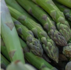La concimazione dell'asparago: i consigli di Unimer - colture - Fertilgest
