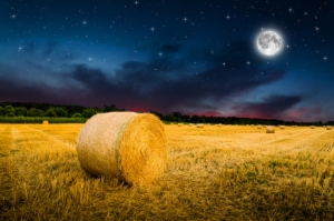 balle-di-fieno-campo-notte-luna-piena-agricoltura-notturna-by-klagyivik-adobe-stock-750x497.jpeg