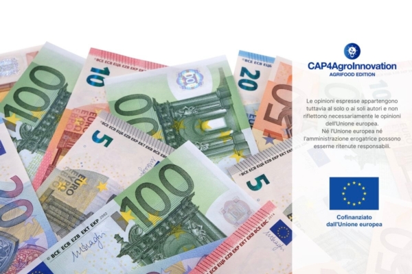 Psr Puglia, bando da 14 milioni di euro per il primo insediamento dei giovani agricoltori