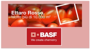 basf-ettaro-rosso-2015.jpg