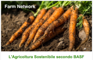 basf-sostenibilita-carota.png