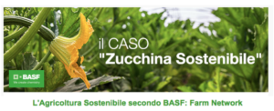 basf-zucchina-sostenibile.png