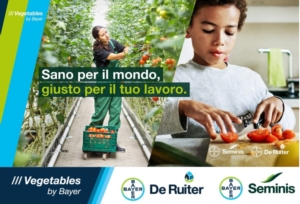 Vegetables by Bayer: piattaforme per professionisti dell'orticoltura - Plantgest news sulle varietà di piante