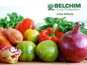 belchim-linea-orticole-2014.jpg