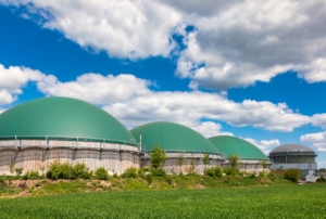 EVENTO ONLINE - Migliorare la sostenibilità nelle diete di impianti di biogas agricoli