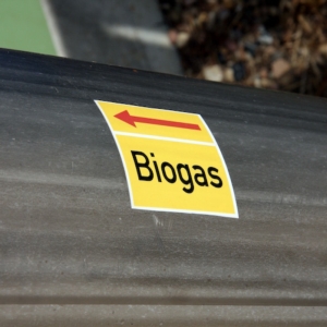biogas-bioenergie-fonti-rinnovabili-by-inga-domian-adobe-stock-500x500