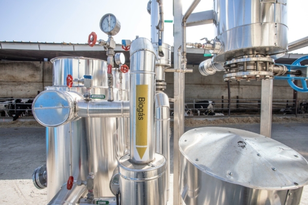 Dalla stalla all'auto, cos&igrave; il biometano diventa una fonte di reddito