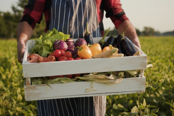 Lombardia, sostegno alle pratiche agricole sostenibili