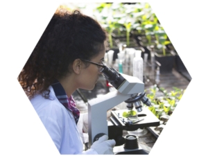 biostimolanti-agricoltura-ricerca-laboratorio-campo-2019