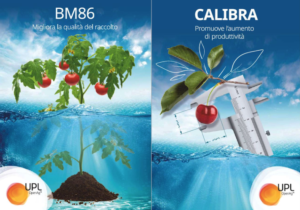 BM86 e Calibra, prodotti cardine per una produzione di qualità - UPL Italia - Fertilgest News