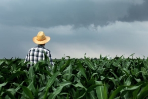Climate change e stress abiotici, come affrontarli e superarli efficacemente - le news di Fertilgest sui fertilizzanti
