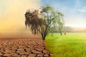 cambiamento-climatico-climate-change-by-piyaset-adobe-stock-750x500