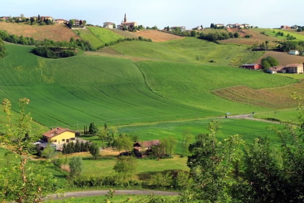 campi-campagna-piacentina-colline-collina-agricoltura-by-misterbike-adobe-stock-1200x800.jpeg