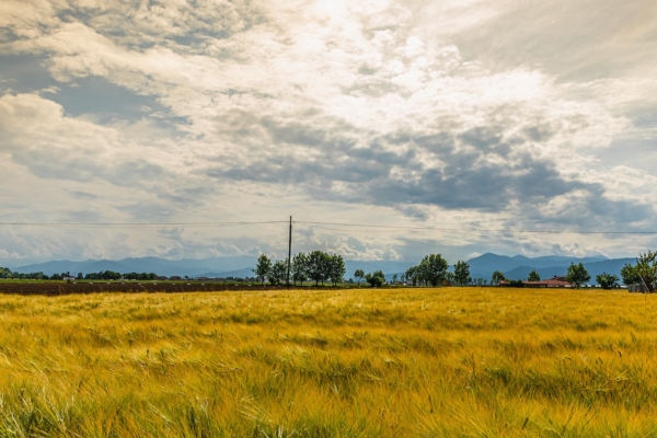 Food&amp;Science Festival - Lab Alessandria 2025, ecco di cosa si parler&agrave;