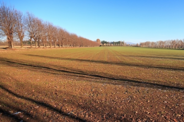 Lombardia: nuovi bandi per ambiente, agriturismi e agromeccanica sostenibile