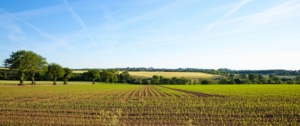 campo-agricolo-agricoltura-by-thierry-ryo-adobe-stock-750x314