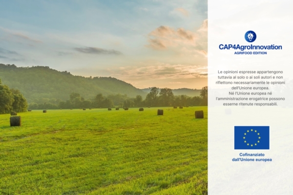 Pac post 2027: pi&ugrave; ambiziosa, finanziata e incentrata sui giovani