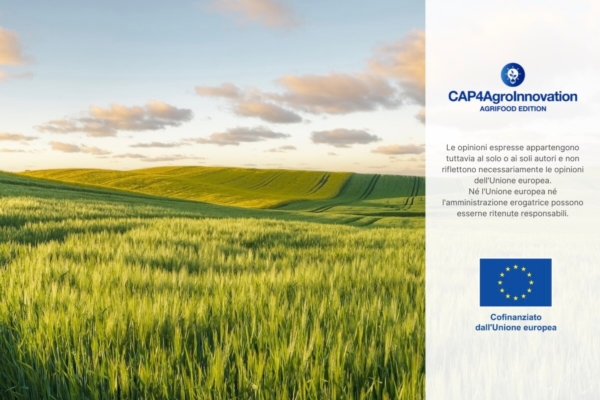 Pac, presentato dalla Commissione Ue il secondo pacchetto di semplificazioni