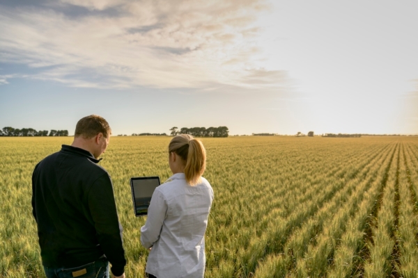 Agricoltura rigenerativa che fa rima con premialit&agrave;