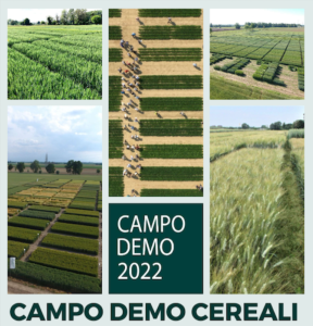 campo-demo-cereali-2022