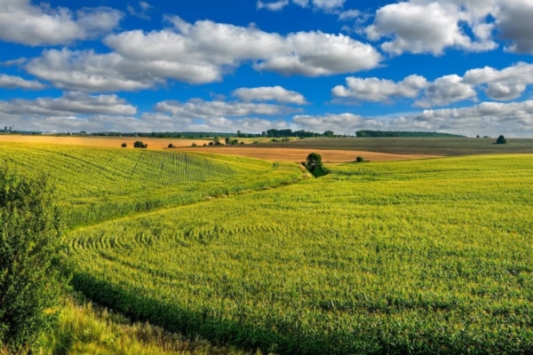 Ricerca e innovazione: un evento per scoprire il futuro sostenibile