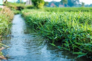 Siccità, ridurre l'uso di acqua in agricoltura è possibile?