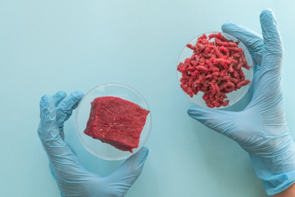 Della carne sintetica e della transizione ecologica