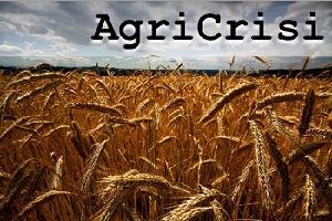 cereali_campo_grano_agricrisi-CoreForce
