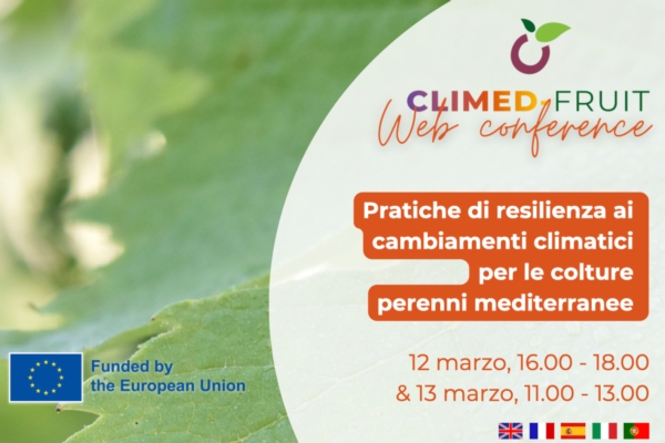 EVENTO ONLINE - Pratiche di resilienza ai cambiamenti climatici per le colture perenni mediterranee