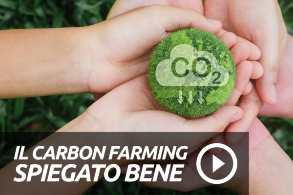 Tu lo conosci il carbon farming?