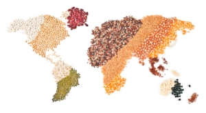 commodity-agricole-sicurezza-alimentare-cereali-legumi-mercati-agroalimentare-by-scottchan-adobe-stock-750x410