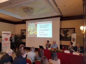 conferenza-stampa-spice-herbs