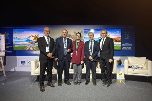 Meccanica agricola: cresce la cooperazione fra Marocco e Italia