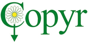 copyr-logo-web-2010.jpg