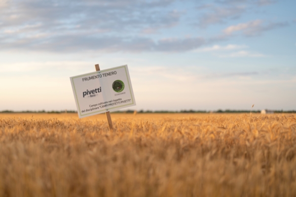 Grano, ridurre la CO<sub>2</sub> per guadagnare di pi&ugrave;