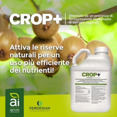 Crop+<sup>™</sup> attiva le riserve naturali della pianta per migliorare l'efficienza di uso dei nutrienti del kiwi - Agricola Internazionale - Fertilgest News