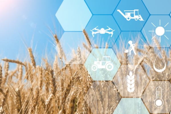 AI4FARM<sup>®</sup>, la rete d'impresa per l'agricoltura digitale integrata e interoperabile