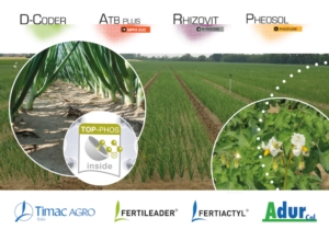 Colture orticole, Timac Agro è la scelta per un percorso tecnico di qualità - le news di Fertilgest sui fertilizzanti