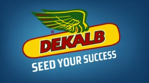 dekalb-groundbreakers-success.jpg