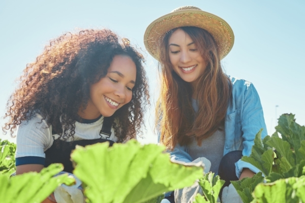 Valle d'Aosta, 800mila euro per il primo insediamento dei giovani