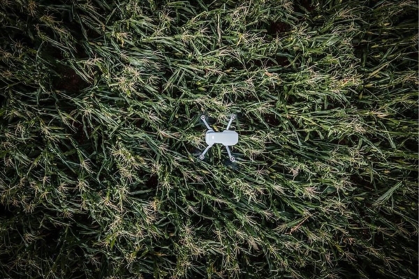 Danni da eventi atmosferici, il ruolo della tecnologia