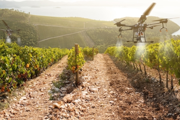 AgriFoodTech, mentre il mondo frena l'Italia accelera