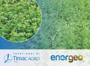 Energeo<sup>®</sup>: da TIMAC AGRO Italia più energia alla terra - le news di Fertilgest sui fertilizzanti