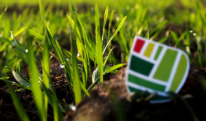 Cerealicoltura di qualità, gestione integrata, biologica e sostenibile - le news di Fertilgest sui fertilizzanti
