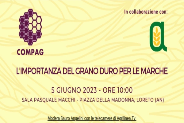 EVENTO - Marche: un convegno per parlare dell'importanza del grano duro - Plantgest news sulle varietà di piante