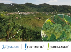 La filosofia nutrizionale da adottare in vigna tra ricerca e innovazione - le news di Fertilgest sui fertilizzanti