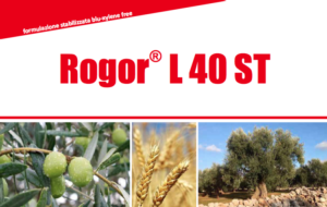 fmc-rogor-40-st-tignola-olivo-2017.png