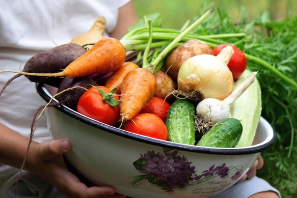 frutta-verdura-cibo-biologico-sostenibile-by-anna-adobe-stock-1200x800.jpeg